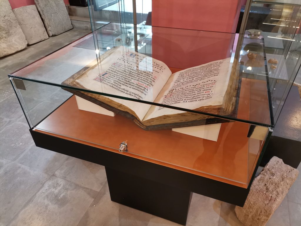 vitrinas horizontales para museos